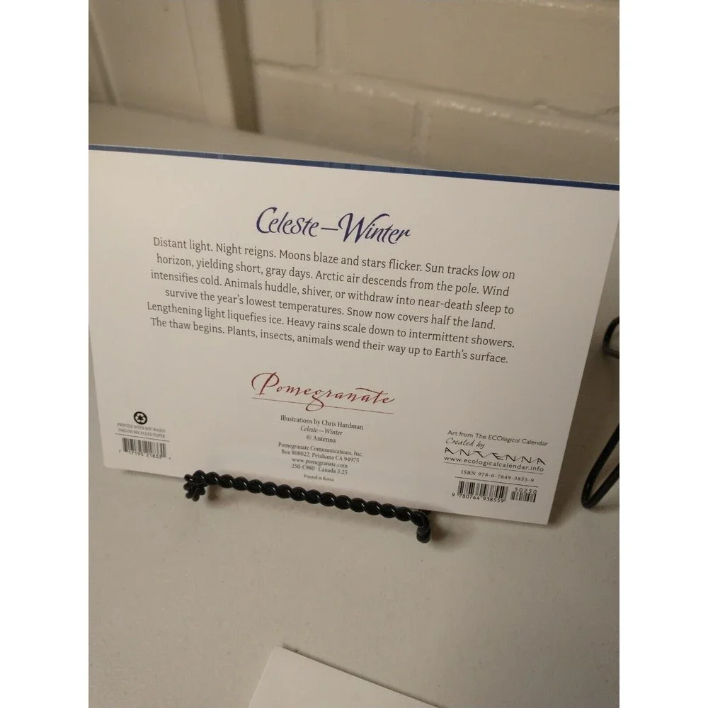 Pomegranate Holiday Cards Celeste Winter Ecological Calendar By Antenna Set of 2
